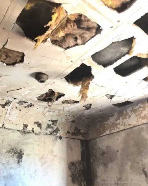 Incendio accidentale, abitazione privata: foto 12