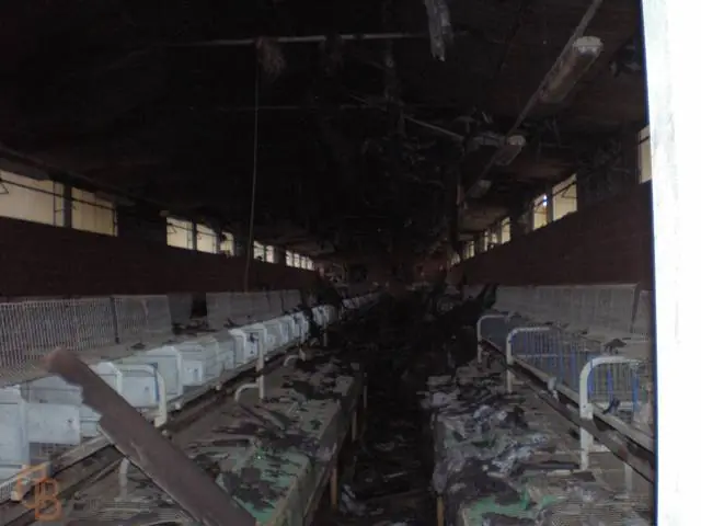 Incendio accidentale: corto circuito pannelli fotovoltaici a tetto, azienda agricola - padova: foto 3