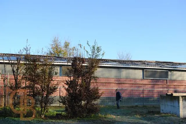 Incendio accidentale: corto circuito pannelli fotovoltaici a tetto, azienda agricola - padova: foto 5