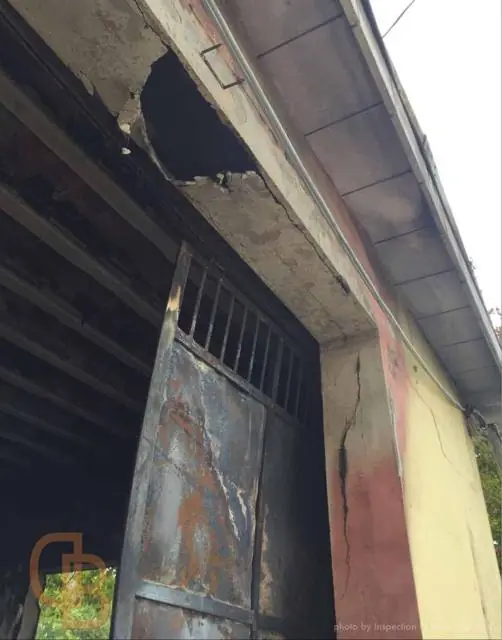 Incendio doloso, attività commerciale - modena: foto 7