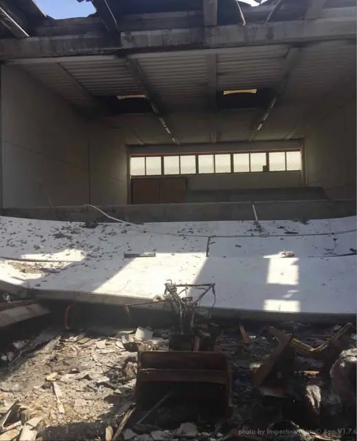Incendio accidentale: incendio da automezzo, azienda - pordenone: foto 3