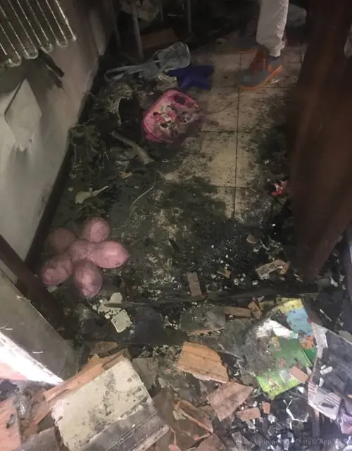 Incendio accidentale: corto circuito apparecchiatura elettronica, appartamento - verona: foto 3